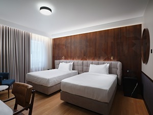Twin Classic Room room