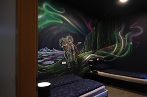 Aurora 2 room