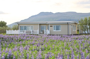 Four bedroom house room