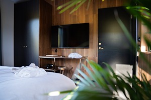 Luxury One Bedroom House (+2 single sofabeds) room