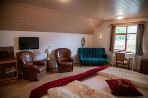 superior double room room