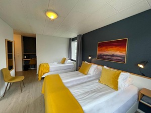 Standard Twin Room room