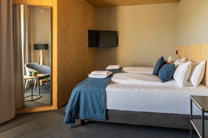 Superior Twin Room room