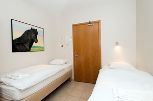 Guesthouse Twin (shared bathroom) room