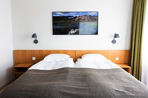 Superior Room room