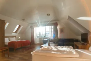 Standard Family Room room