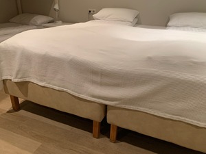 Triple with Shared Bathroom room