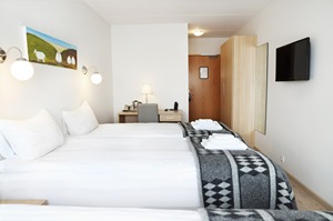 Standard Room - Triple room