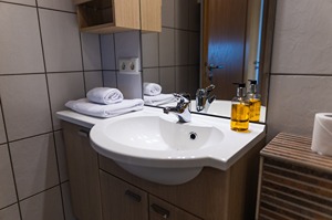 Deluxe 3 pax room