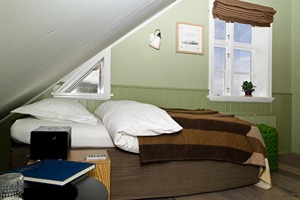 Standard Single Room (sloped ceiling) room