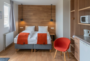 Studio with sofa bed option room