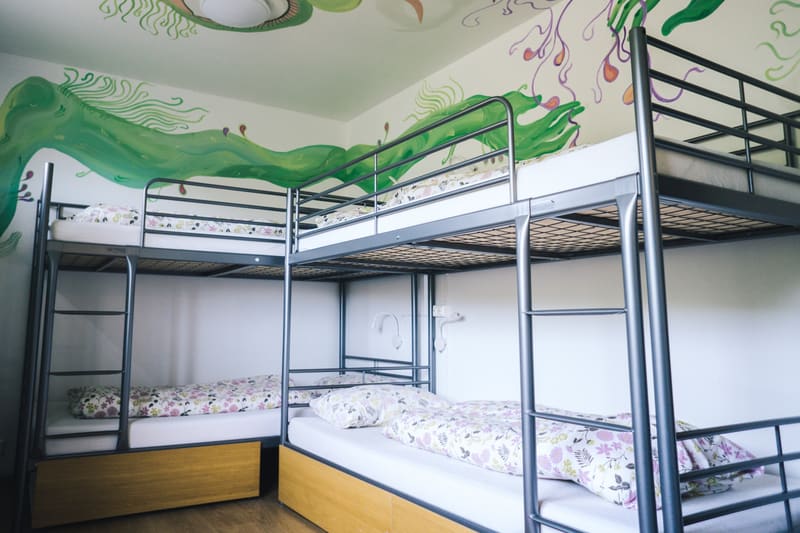 The Freezer Hostel — photo 2