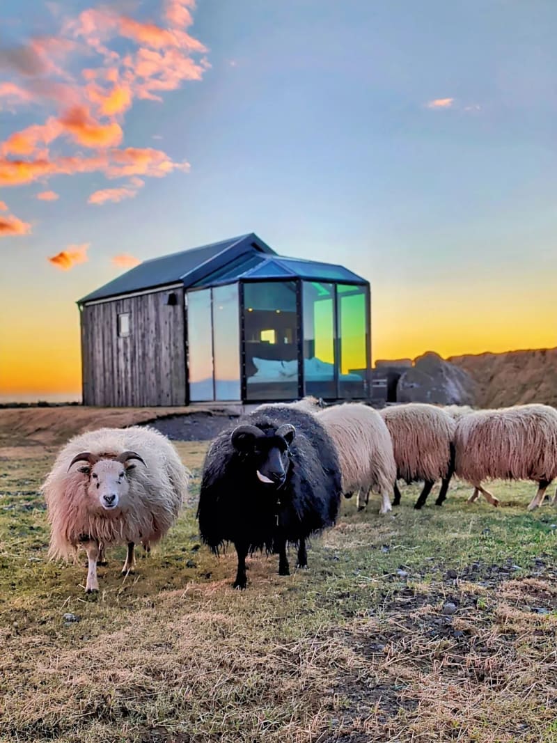 Aurora Glass Cabin II (Private Sauna&Jacuzzi) — photo 4