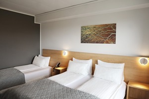 Standard Room - Triple room